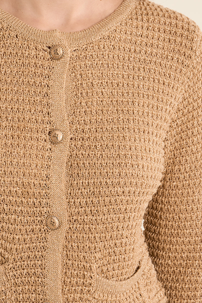 Cardigan in maglia, girocollo LA1948EP